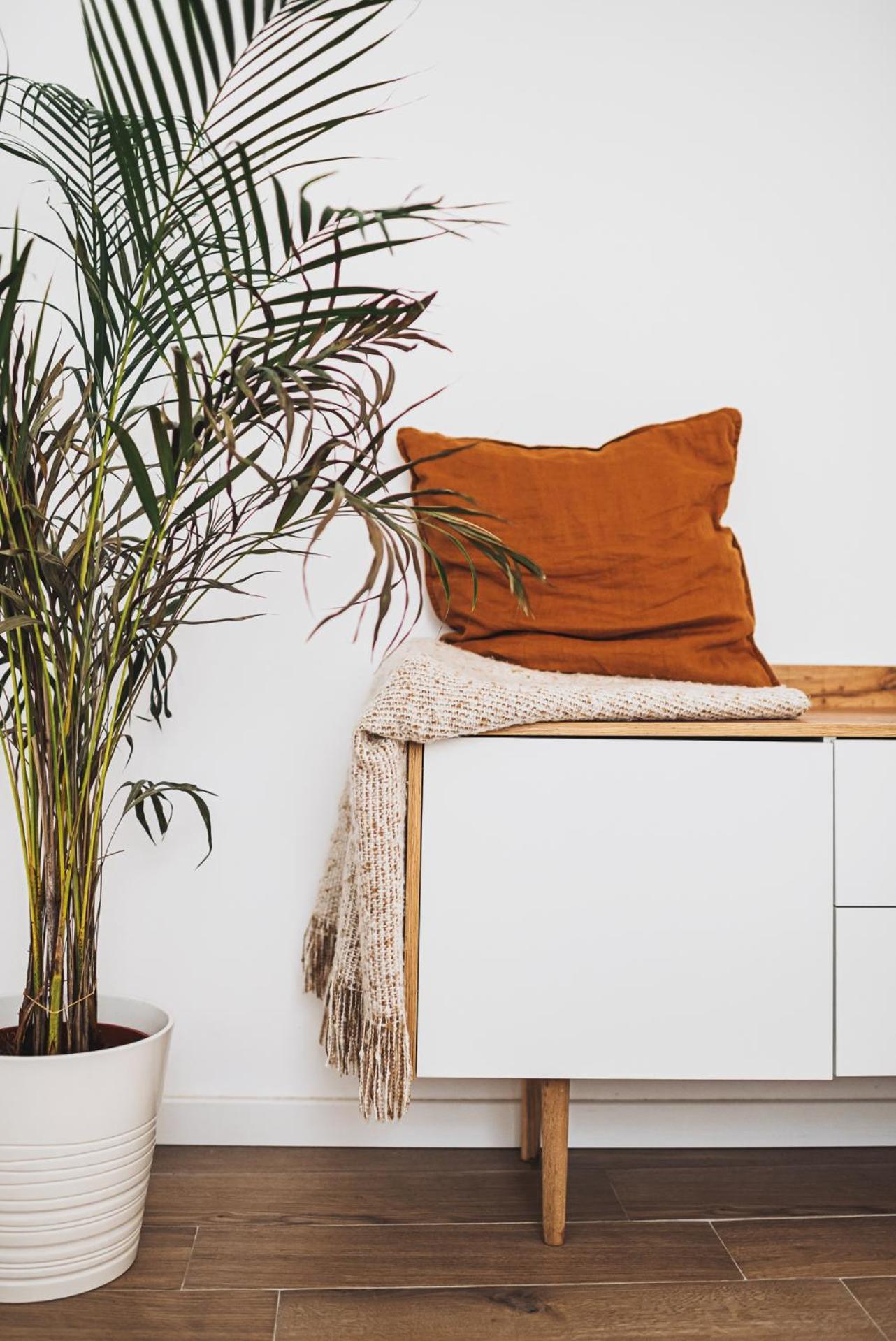 Voya Nordic Apartment-A Luxury Oasis In The Old Town ブラショフ エクステリア 写真