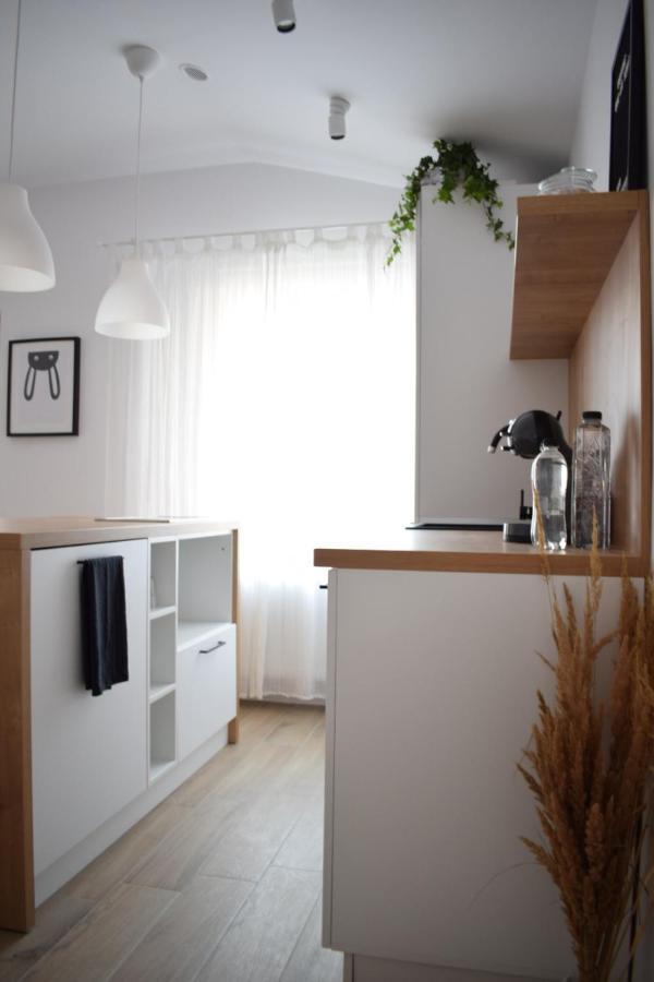 Voya Nordic Apartment-A Luxury Oasis In The Old Town ブラショフ エクステリア 写真
